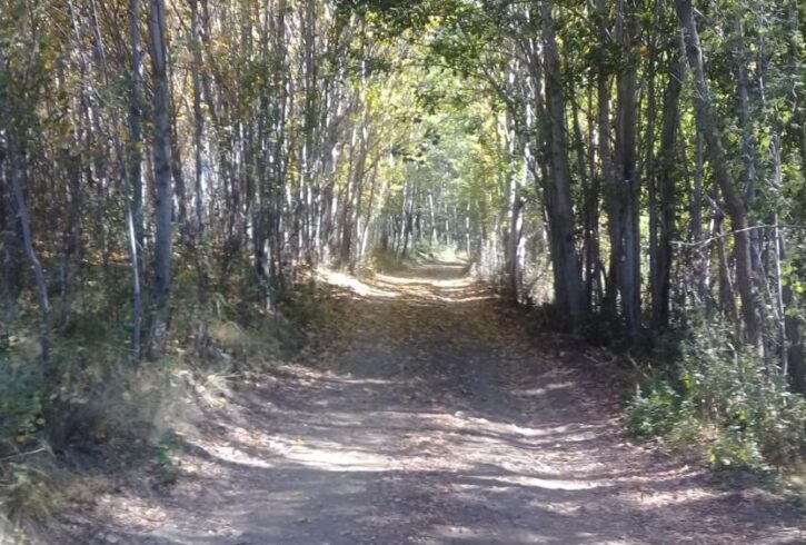 IMG-20240423-WA0023 IMG-20240423-WA0023