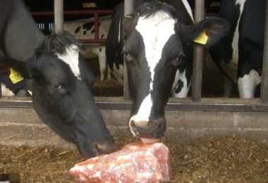 Imagen de WhatsApp 2024-04-13 a las 09.51.38_8dfa168a