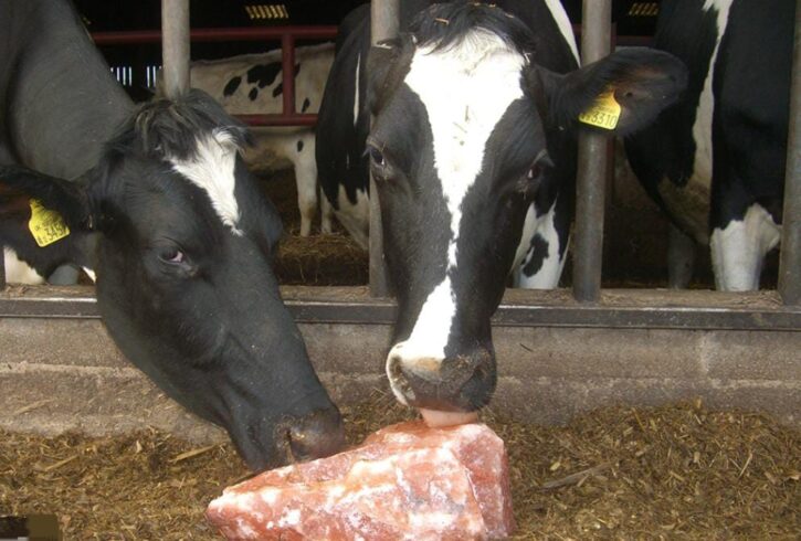 Imagen de WhatsApp 2024-04-13 a las 09.51.38_8dfa168a