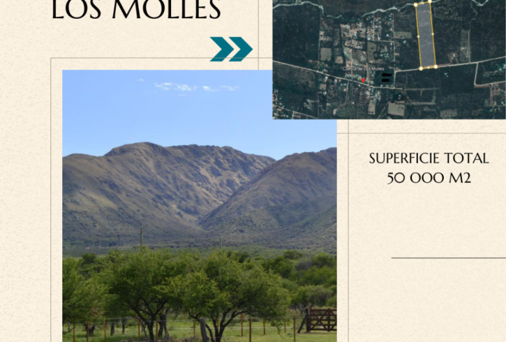 CAMPO CON ARROYO EN LOS MOLLES - VENTA PERMUTAt - Imagen2