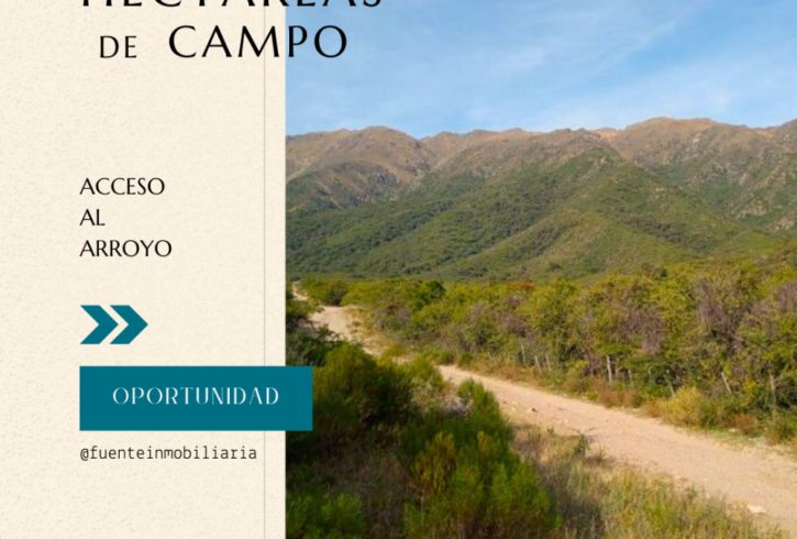 CAMPO CON ARROYO EN LOS MOLLES - VENTA PERMUTAt - Imagen1