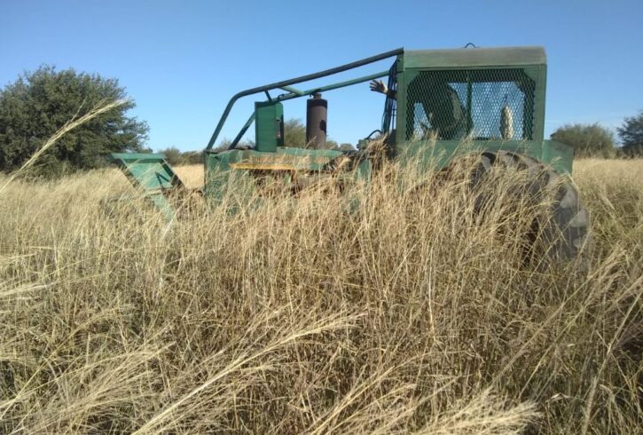 1000000546 1000000546