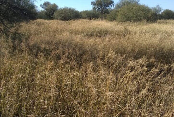 1000000549 1000000549