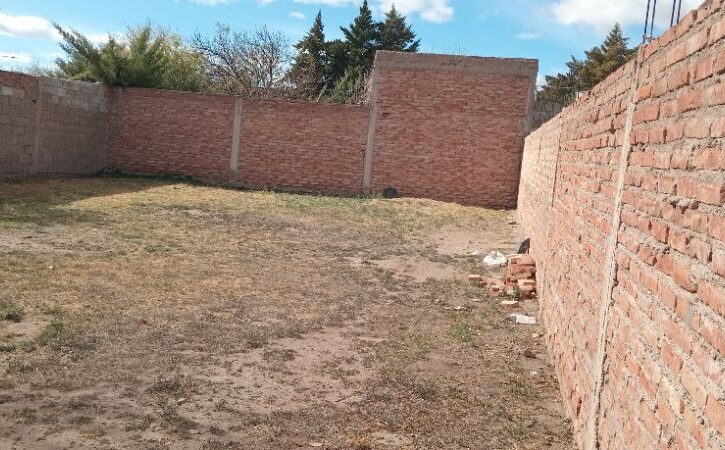 1000173084 1000173084