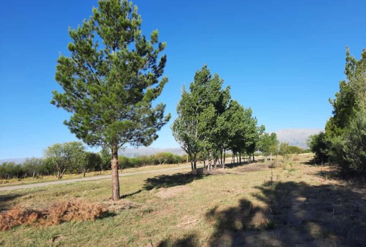 WhatsApp Image 2021-12-05 at 19.53.14