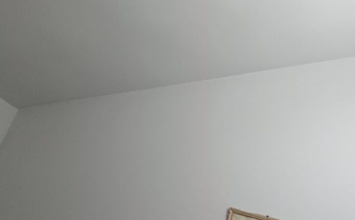 1000173123 1000173123