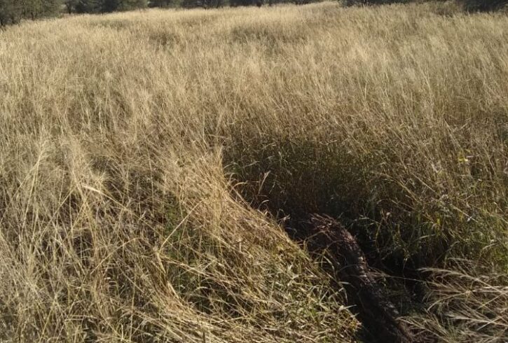 1000000548 1000000548