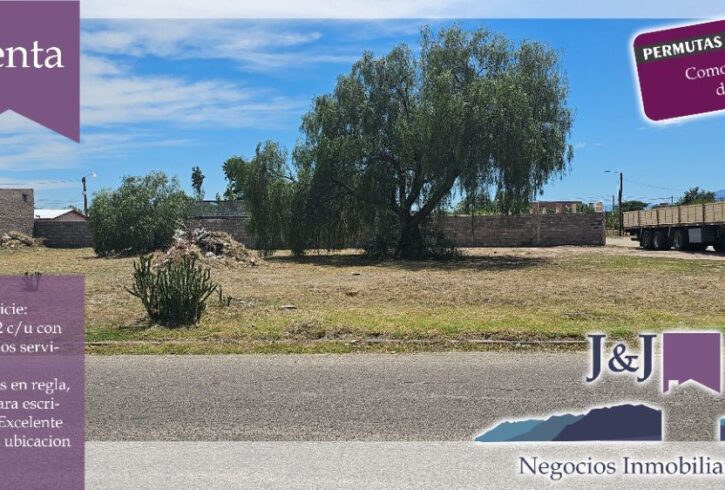 JYJ CAMPOS-TERRENOS NUEVO87 JYJ CAMPOS-TERRENOS NUEVO87