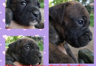 Dofoto_20241101_111421688