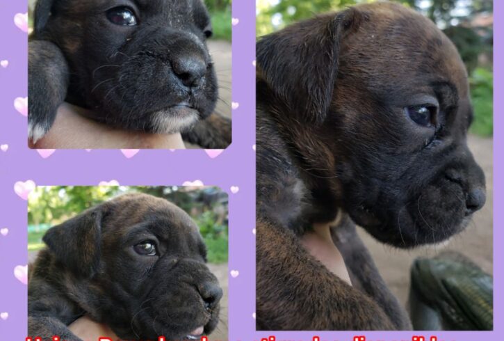 Dofoto_20241101_111421688