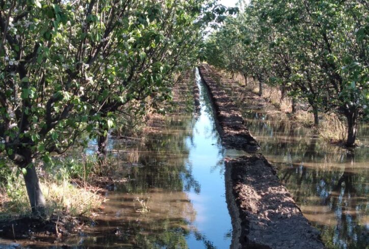 inbound2250237267476708393 inbound2250237267476708393