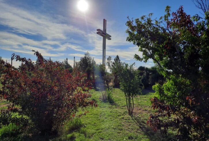 WhatsApp Image 2020-11-22 at 14.59.31 (2)