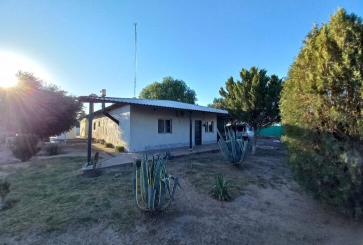 Imagen de WhatsApp 2024-12-16 a las 20.09.06_d3cfff03 Imagen de WhatsApp 2024-12-16 a las 20.09.06_d3cfff03