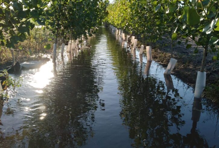 inbound5994529912879745234 inbound5994529912879745234