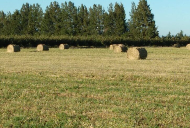 inbound3027461200381797620 inbound3027461200381797620