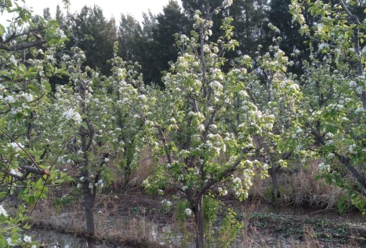 inbound8645040659861304257 inbound8645040659861304257