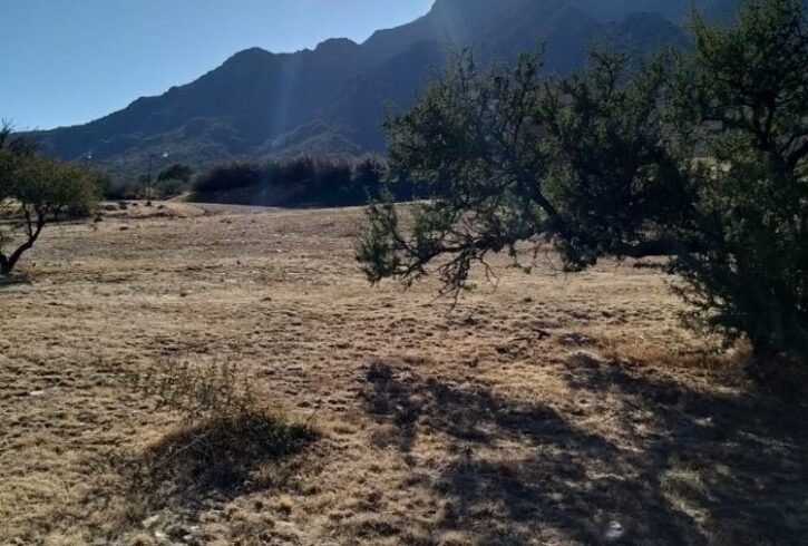 WhatsApp Image 2020-08-19 at 10.43.01 PM WhatsApp Image 2020-08-19 at 10.43.01 PM