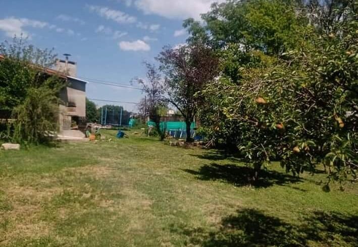 IMG-20250211-WA0053 IMG-20250211-WA0053