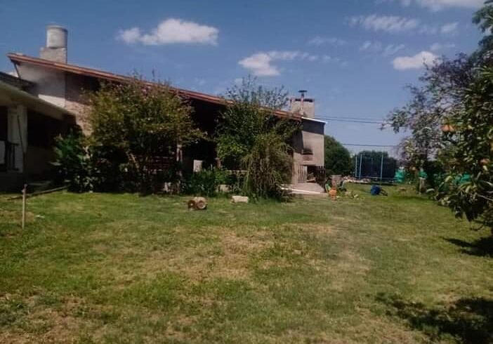 IMG-20250211-WA0051 IMG-20250211-WA0051