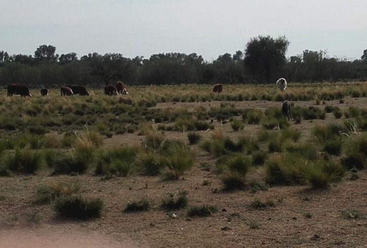 IMG-20250208-WA0049 IMG-20250208-WA0049