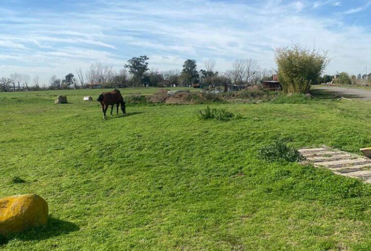 IMG-20240706-WA0015 IMG-20240706-WA0015