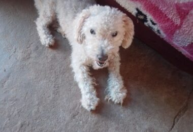 IMG_20250222_102720_573