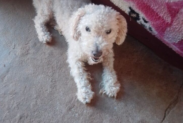 IMG_20250222_102720_573