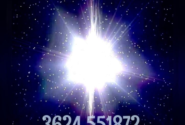 IMG_20240924_234533 IMG_20240924_234533