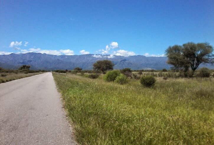 11165164_10205772111557792_4558778839557378457_n