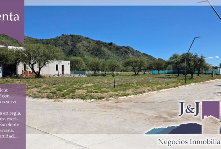 JYJ CAMPOS-TERRENOS NUEVO39