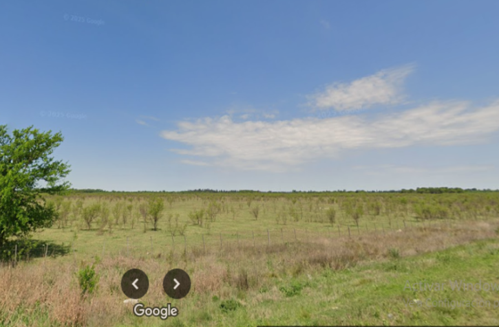 7 ha google map octubre 2024