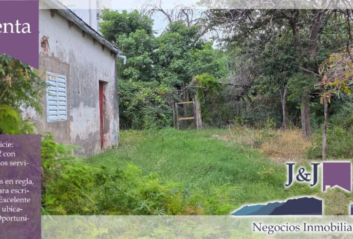 JYJ CAMPOS-TERRENOS NUEVO41