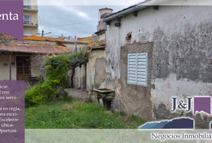 JYJ CAMPOS-TERRENOS NUEVO42