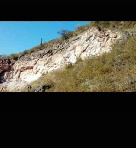 Screenshot_2023-12-20-10-53-34-946 Screenshot_2023-12-20-10-53-34-946