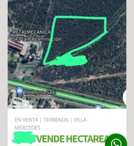 WhatsApp Image 2025-09-22 at 14.45.08