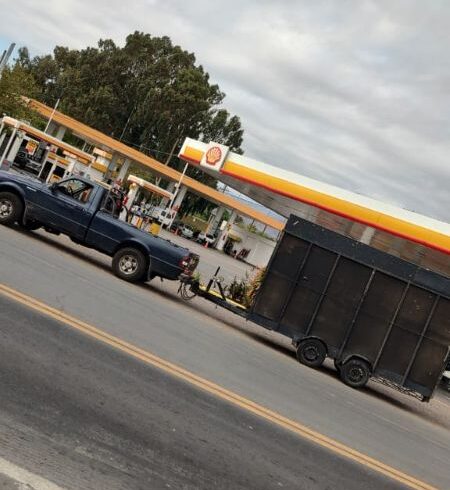 WhatsApp Image 2025-10-22 at 14.24.10 (1) WhatsApp Image 2025-10-22 at 14.24.10 (1)