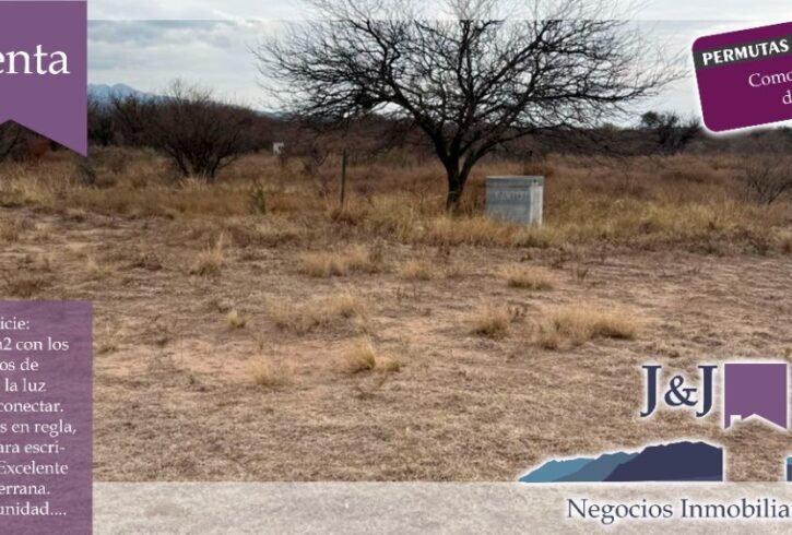 JYJ CAMPOS-TERRENOS NUEVO92 JYJ CAMPOS-TERRENOS NUEVO92