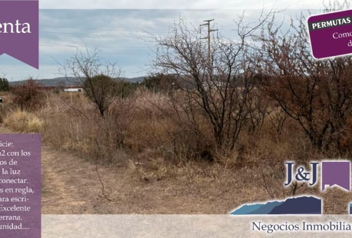 JYJ CAMPOS-TERRENOS NUEVO91 JYJ CAMPOS-TERRENOS NUEVO91