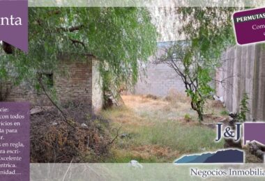 JYJ CAMPOS-TERRENOS NUEVO98