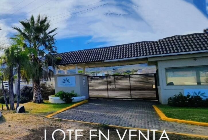 Polish_20251103_145124831