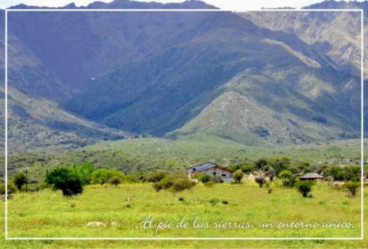 Polish_20251103_152839717