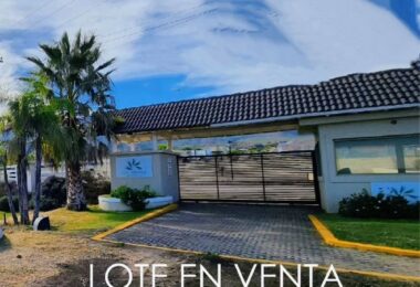 Polish_20251103_145124831