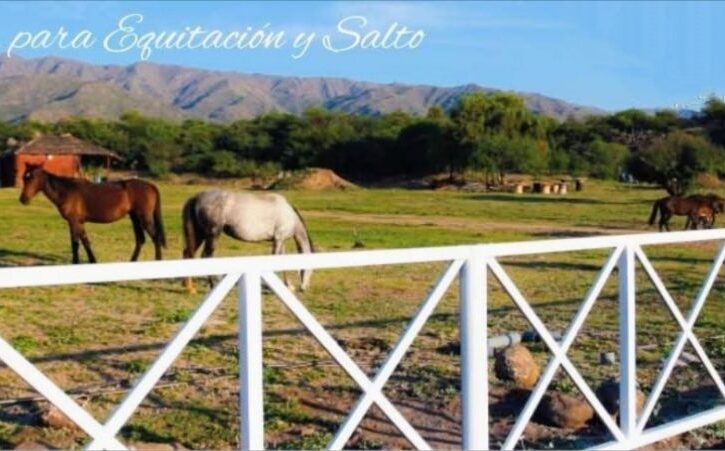 Polish_20251103_152957403