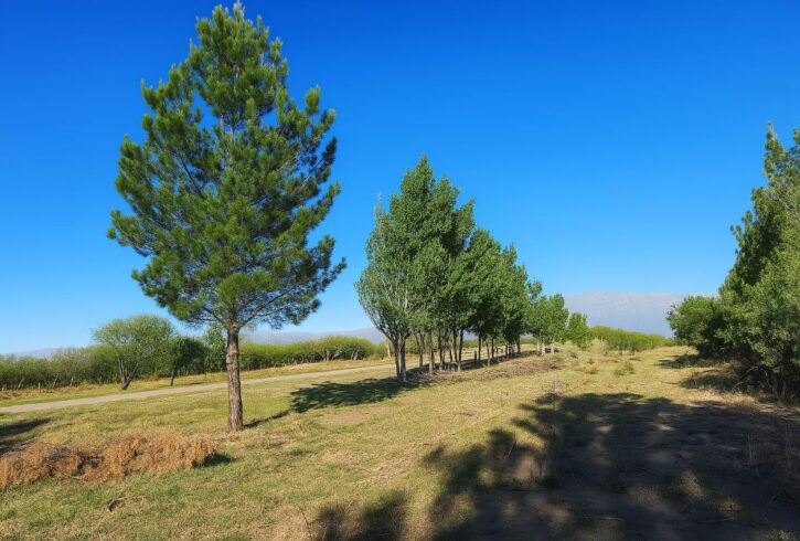 IMG-20251228-WA0007 IMG-20251228-WA0007