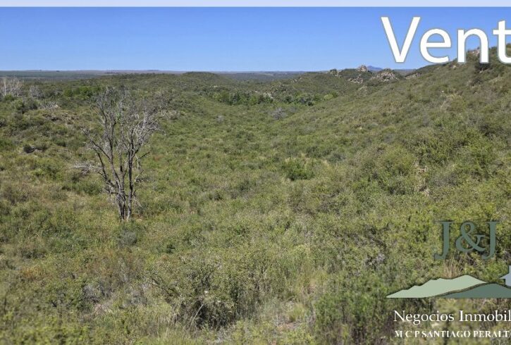 JYJ Venta con íconos61