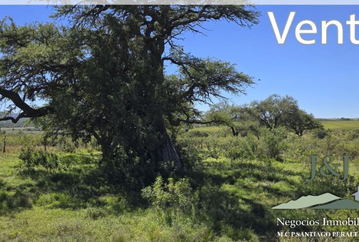 JYJ Venta con íconos62