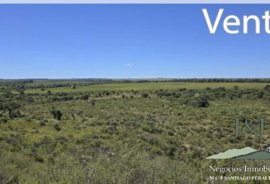 JYJ Venta con íconos64