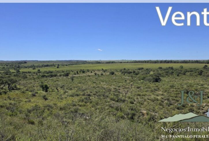 JYJ Venta con íconos64