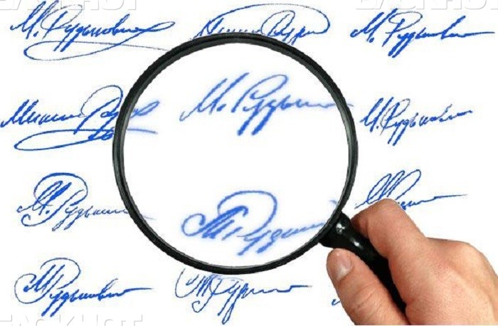 LUPA Y TEXTO LUPA Y TEXTO