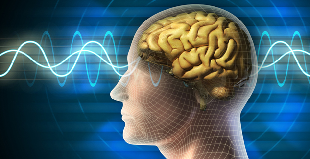 4 CEREBRO ENERGIA 4 CEREBRO ENERGIA